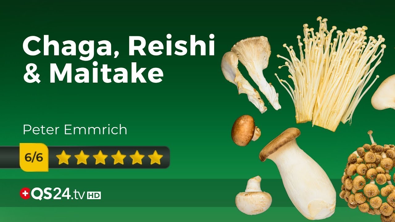 Vital- und Heilpilze | Facharzt Peter Emmrich M.A. | @QS24