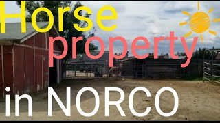 🐴🐄🐔 HORSE Property in NORCO CA. 🦓🦄