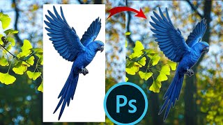 Remove Background in Photoshop in One Click Tutorial for beginners