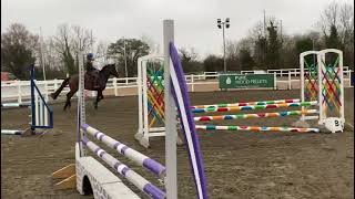 Impressive horse, lots of potential and ready to go on - ad ref; 237477