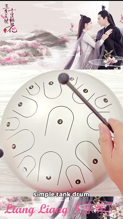 Liang Liang (涼涼) #shorts #short #tankdrum #steeltonguedrum #yearofyou