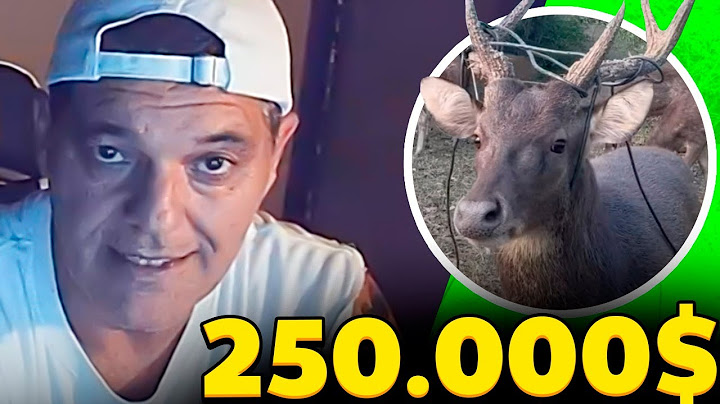 TENEMOS QUE SALVAR EL SANTUARIO DE FRANK DE LA JUNGLA