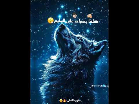 كلها بصراحه على السليم