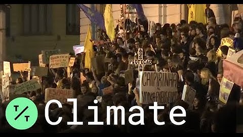 Amazon Protesters Swarm Rio de Janeiro Demanding Action on Deforestation