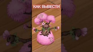 Как вывести живербену