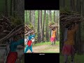 Kausani Uttarakhand Kausani Uttarakhand