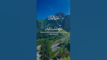 Beautiful voice Surah Al-mulk Mulk سورة الملك Short (@islamicvideos.a.r)
