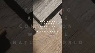 Biophillic Design | Sustainable Wood | Natural Materials in Design