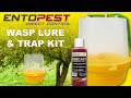 Entopest Wasp Lure &amp; Trap Kit