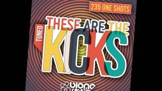 Kick Drum Samples -  These Are The Kicks - EDM Kicks in Key/Tuned Kicks 2