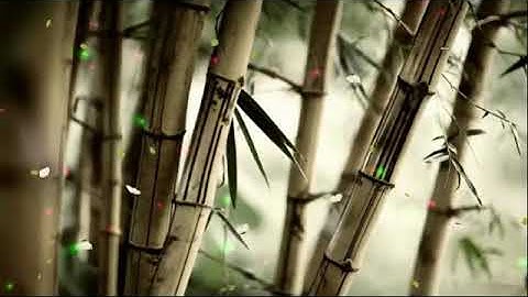 قرآن كريم .. وسارعوا إلى مغفرة من ربكم . من سورة آل عمران