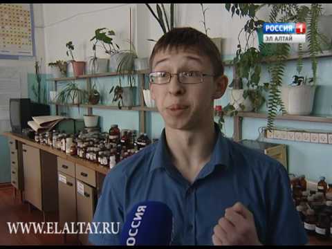 В Горно-Алтайске проходит третий этап всероссийской и республиканской олимпиады школьников