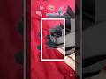 Dly paper flower #shortvideo #viralvideo # dly