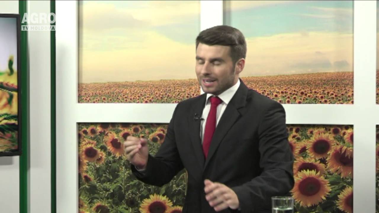 Riscurile inițierii unei afaceri cu păsări