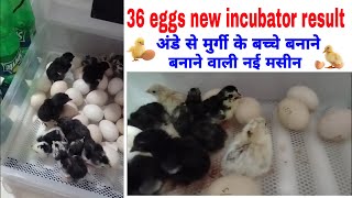 36 अंडो वाली मशीन मे इस तरह बच्चे बनाते है | 36 eggs new model incubator result