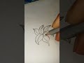 Drawing flower very easy...|| how drawing a flower..... Pencil sketch 