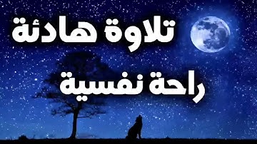 القارئ بلال دربالي القمر 🌙 النجم 🌟 تلاوة هادئة