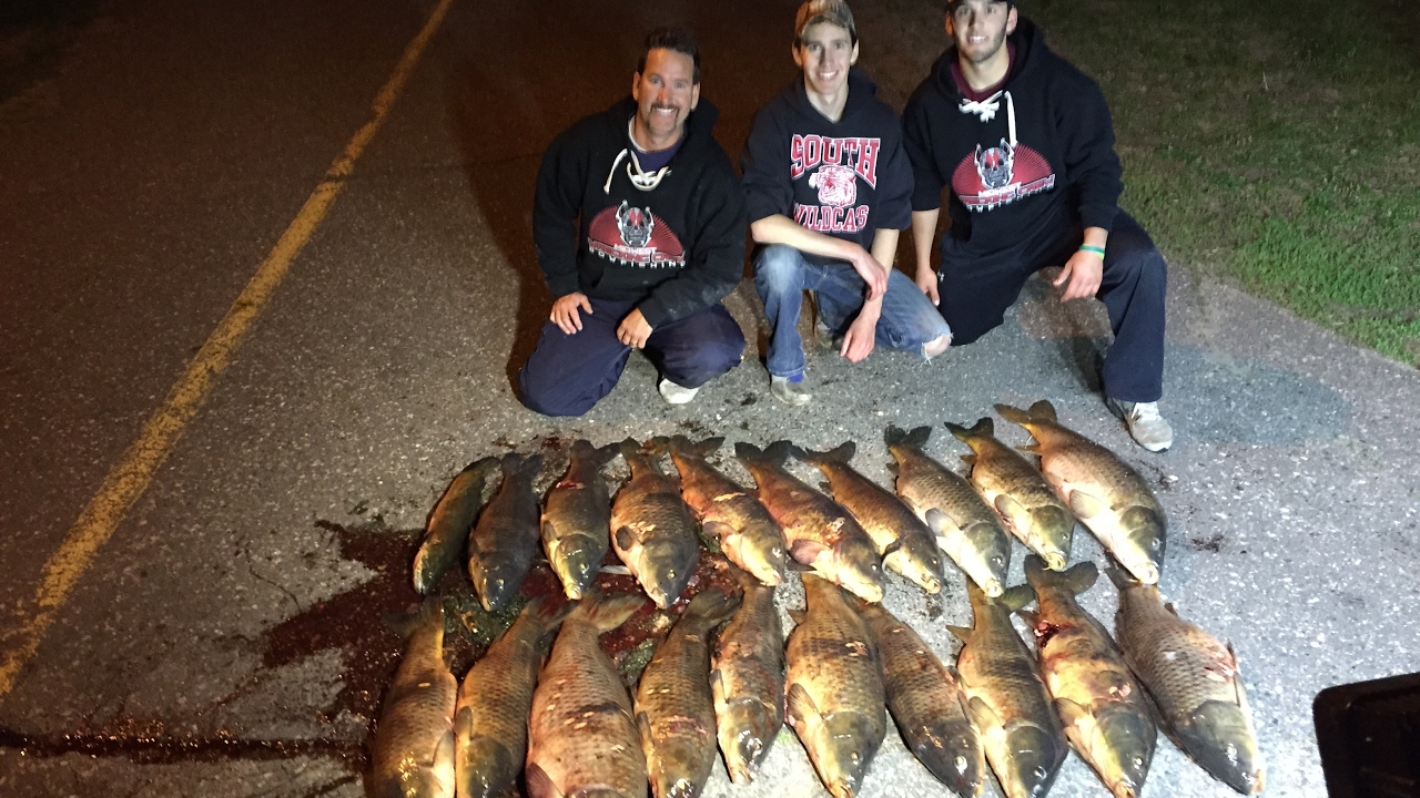 BOWFISHING SHORE SHOOTING SPOT AND STALK YouTube