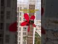 Balcony finds from Amazon | balcony decor #amazonfinds