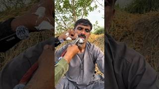 Hello Usa & Mexico Asmr Old Style Shaving Of Old Man With Old Vaternery Barber