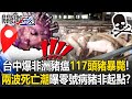非洲豬瘟疫情爆發