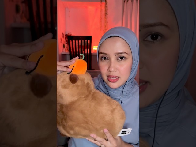 Who loves Capybaraaaa ??? 🙋🏻‍♀️ #miniso #minisoplushtoy