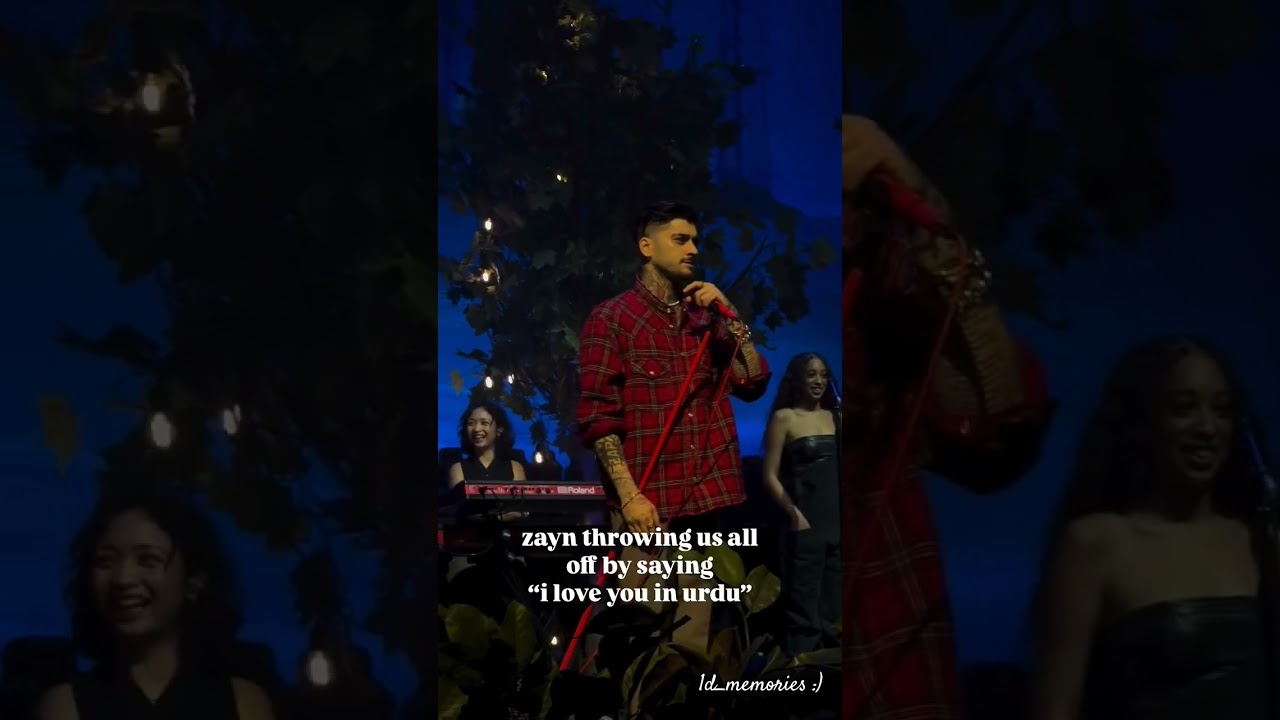 Zayn Malik singing in hindi