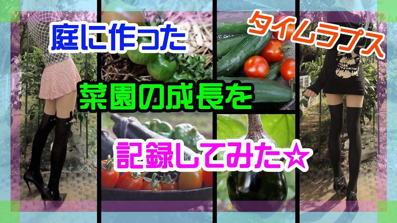 【DIY動画】家庭菜園作ったので成長の様子を記録してみたよ/日本語字幕付き/Growth record of the vegetable garden/Time lapse【庭作り】