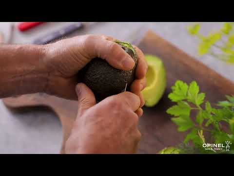 Collection Paysage - la nature entre vos mains, par Opinel