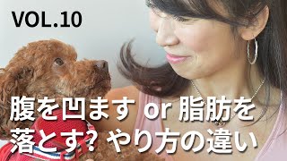 1分ダイエット! vol.10 腹を凹ますor脂肪を落とす? やり方の違い