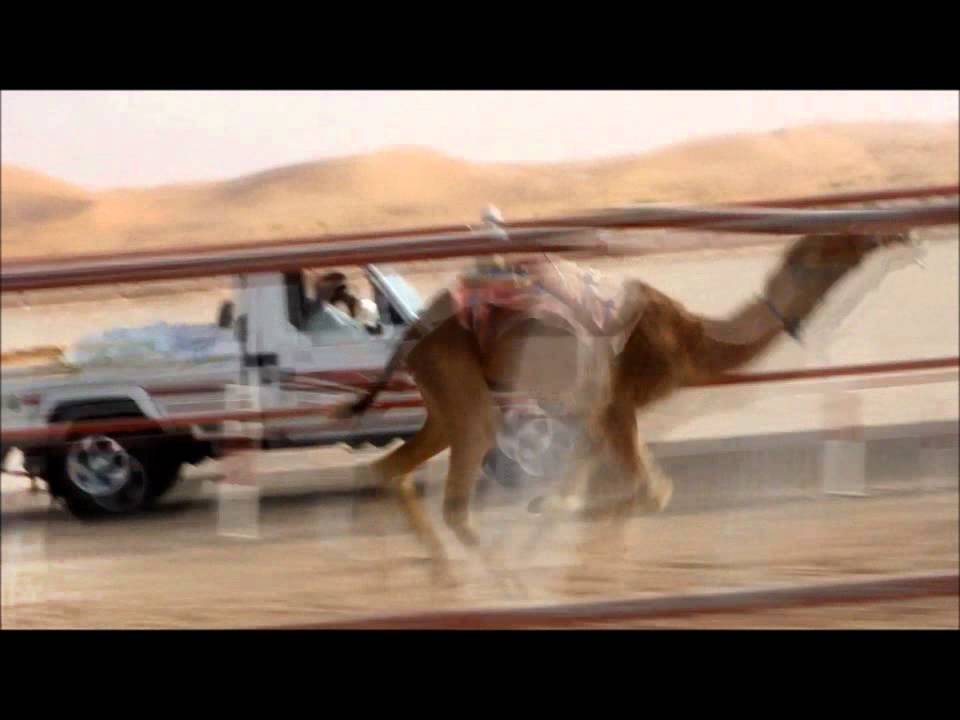 تفحيم الفطامين