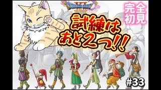 【ドラクエ11S】#33 完全初見！ドラクエ史上最高傑作を一緒に冒険しよう！初見歓迎！【 #夏目ニア / #Vtuber 】 #ドラゴンクエスト11S #DQ11 #ドラクエ11 #猫  #cat