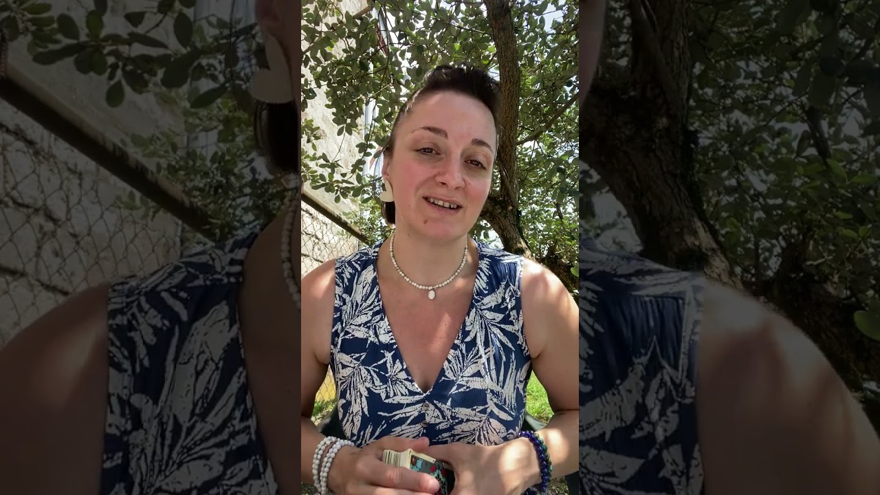 რას შემოგთავაზებს?