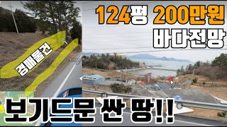 완도 약산도(섬아님) 바다전망 경매토지 // 보기드문 싼 땅