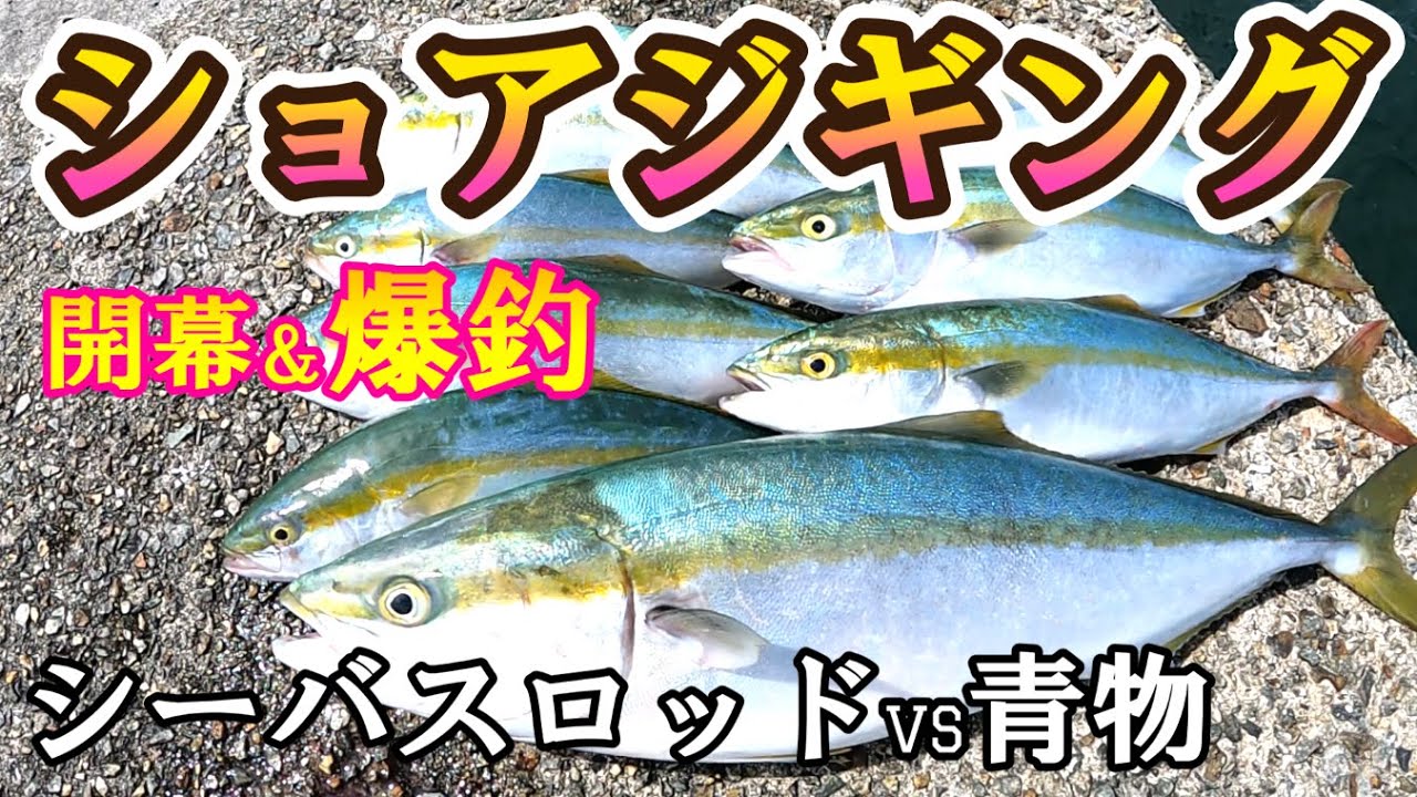 開幕ダッシュ 激熱の大阪湾 シーバスロッドvs青物 Youtube