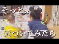 【生後６ヵ月】大好きなお兄ちゃんに気づいた時のリアクション