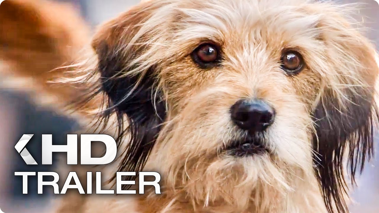 BENJI Trailer (2018) Netflix