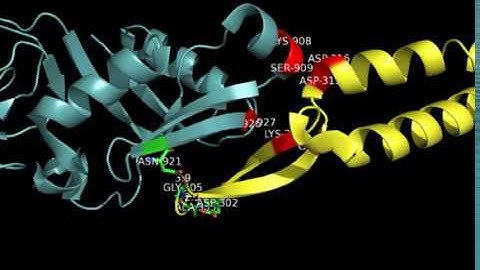 Tir-Intimin Binding Domain G305 Pymol Crystal Structure