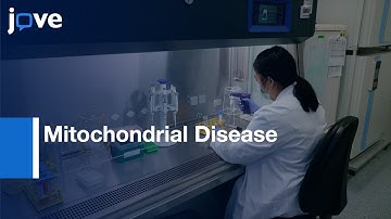 Mitochondrial Disease Modeling by Brain Organoids | Protocol Preview