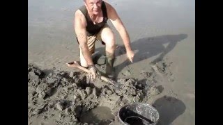 Pieren Steken, Strandwormen Delven