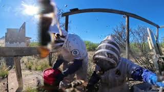 Composting Killer Bees [360° 4K HD]