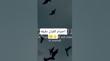 القارئ الشيخ عبد الرحمن مسعد #اسمعها_و_شيرها #قران_كريم #اكسبلور #راحة_نفسية #ارح_قلبك