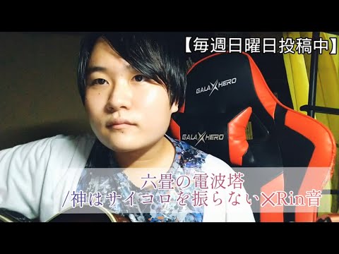 神はサイコロを振らない✕Rin音  『六畳の電波塔』弾き語り