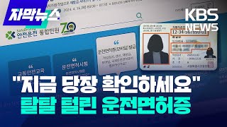 [자막뉴스] 