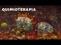 La QUIMIOTERAPIA explicada: cómo funciona, tipos, efectos secundarios