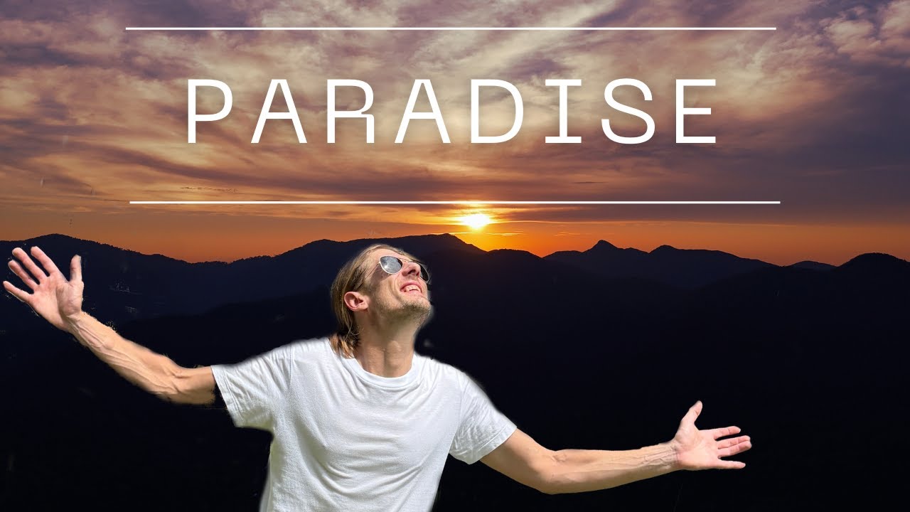 How's Life Living In The Jungle