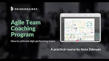 Agile Team Coaching Program
