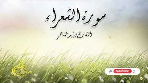 #سورة_الشعراء #الشعراء #فك_السحر #الرقية_الشرعية #رمضان #رمضان_كريم #رقية_شاملة
