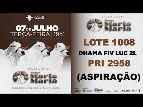 LOTE ASP  1008   PRI 2958
