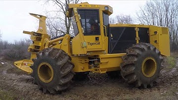 Tigercat G-series wheel feller bunchers: walk-around